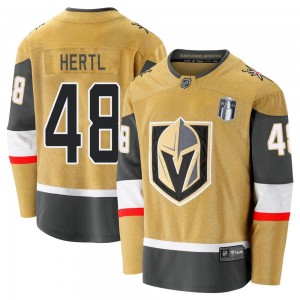 Fanatics Branded Tomas Hertl Vegas Golden Knights Youth Premier Breakaway 2020/21 Alternate 2023 Stanley Cup Final Jersey - Gold